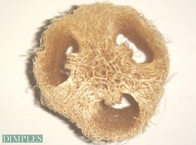 Luffa - Bade- und Massageschwamm