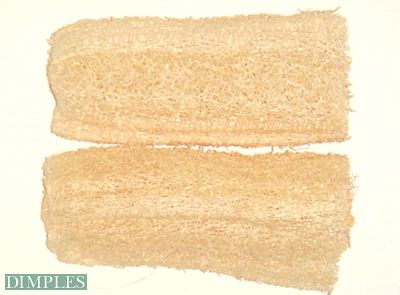Luffa - Bade- und Massageschw�mme