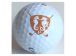 Golfclub Segeberg e.V. - Gut Wensin